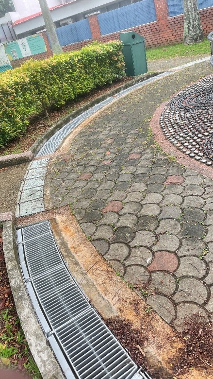 Drain Grating